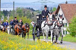 Fahnenweihe des Reitvereins Schönenberg 5. Mai 2012