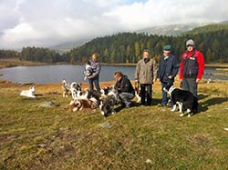 Agility Kurs St. Moritz mit Regula Tschanz 14.-17.10.2012