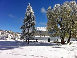 Agility Kurs St. Moritz mit Regula Tschanz 14.-17.10.2012