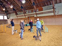 Agility Kurs St. Moritz mit Regula Tschanz 14.-17.10.2012