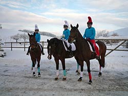 Weihnachtsreiten 9.12.2012