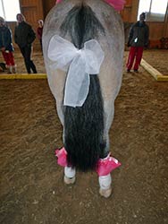 Weihnachtsreiten 9.12.2012