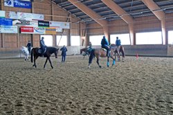 Dressurkurs mit Bruno Kalt 21.2. und 7.3.2015