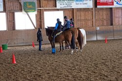 Dressurkurs mit Bruno Kalt 21.2. und 7.3.2015