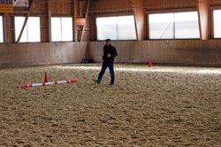 Dressurkurs mit Bruno Kalt 21.2. und 7.3.2015