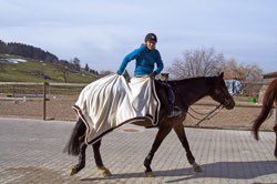 Dressurkurs mit Bruno Kalt 21.2. und 7.3.2015