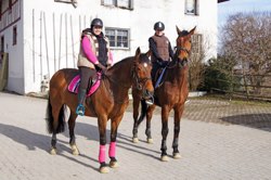 Dressurkurs mit Bruno Kalt 21.2. und 7.3.2015