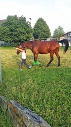 Sommerreitlager 13.-17. Juli 2015