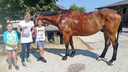 Sommerreitlager 13.-17. Juli 2015