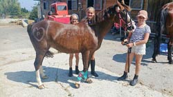 Sommerreitlager 13.-17. Juli 2015