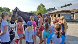 Sommerreitlager 13.-17. Juli 2015