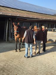 Manuelle Therapie 11. - 13.11.2015