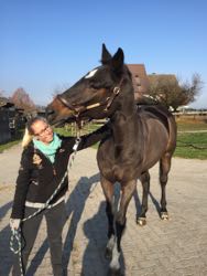 Manuelle Therapie 11. - 13.11.2015