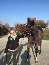 Manuelle Therapie 11. - 13.11.2015