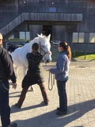 Manuelle Therapie 11. - 13.11.2015