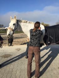 Manuelle Therapie 11. - 13.11.2015