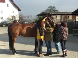 Manuelle Therapie 11. - 13.11.2015