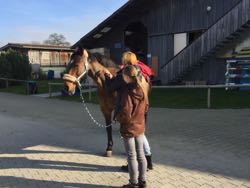 Manuelle Therapie 11. - 13.11.2015