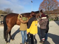 Manuelle Therapie 11. - 13.11.2015