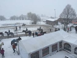 CS Schönenberg 28. - 29.11.2015