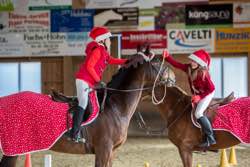Weihnachtsanlass 2015 RV Schönenberg