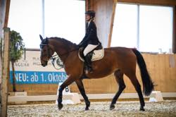 RVS 4. Dressur Concours