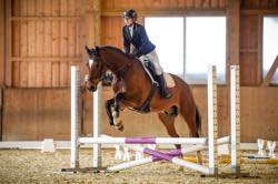RVS 4. Dressur Concours