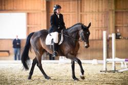 RVS 4. Dressur Concours
