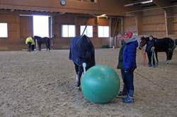 Bodenarbeitskurs mit Derek Frank 5./6.11.2016