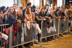 CS Schönenberg Hallenspringen 26./27.11.2016