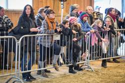CS Schönenberg Hallenspringen 26./27.11.2016