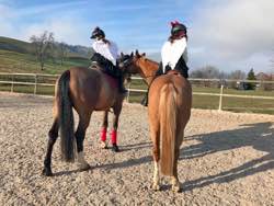 RVS Weihnachtsreiten 18.12.2016