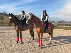 RVS Weihnachtsreiten 18.12.2016