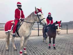 RVS Weihnachtsreiten 18.12.2016