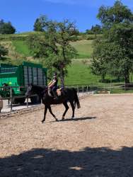 Sommerreitlager Juli 2019