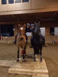 Indoor Trail-Kurs 2020