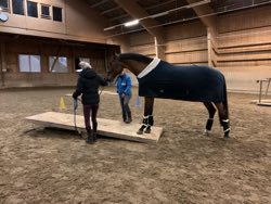 Indoor Trail-Kurs 2020