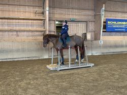 Indoor Trail-Kurs 2020