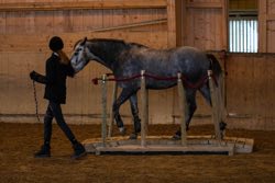 Indoor Trail-Kurs 2020