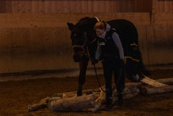 Indoor Trail-Kurs 2020
