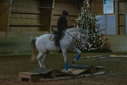 Indoor Trail-Kurs 2020