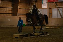Indoor Trail-Kurs 2020