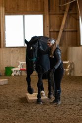 Indoor Trail-Kurs 2020