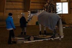 Indoor Trail-Kurs 2020