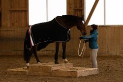 Indoor Trail-Kurs 2020