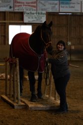 Indoor Trail-Kurs 2020