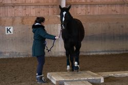 Indoor Trail-Kurs 2020