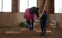 Indoor Trail-Kurs 2020