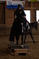Indoor Trail-Kurs 2020