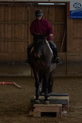 Indoor Trail-Kurs 2020